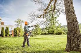 Why Choose Our Tree Removal Services in Bartlett, IL?