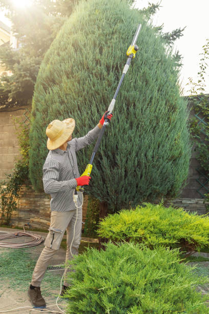 Best Lawn Watering Services  in Bartlett, IL